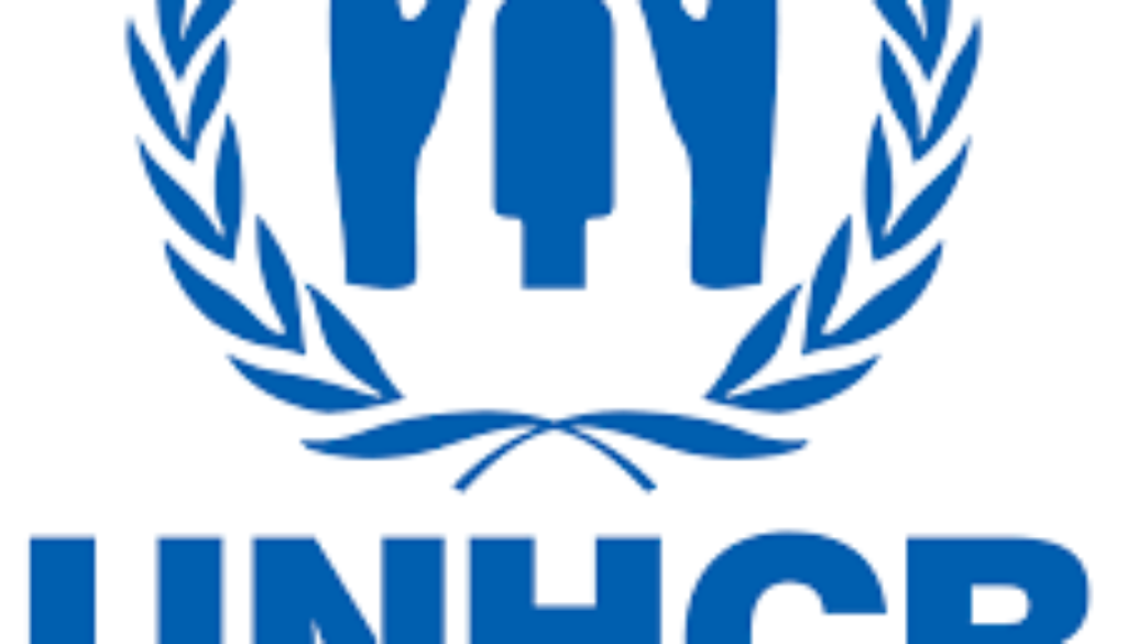 UNHCR Logo Associate CBP Officer Vacancy Job Ref: VACUNHCR1175-20